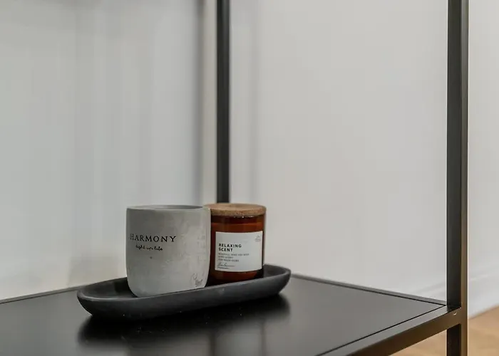 Domillion New Modern 2bdr Hall D1117b Apartament Wilno